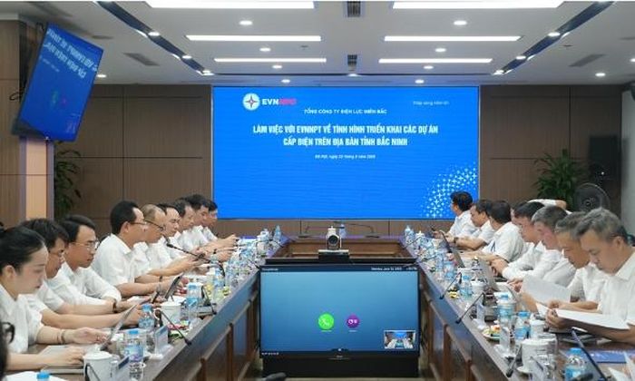Quang cảnh buổi làm việc.