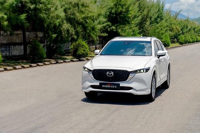 Phần đầu xe nổi bật với lưới tản nhiệt tổ ong và cụm đèn LED sắc sảo.