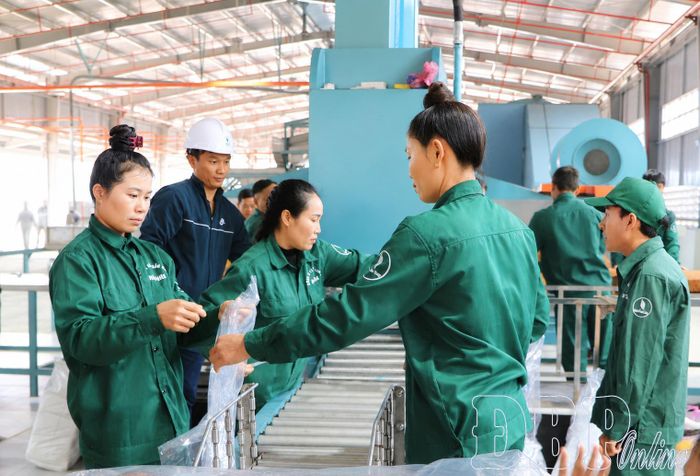 Công nhân làm việc tại Nhà máy Chế biến mủ cao su Điện Biên.