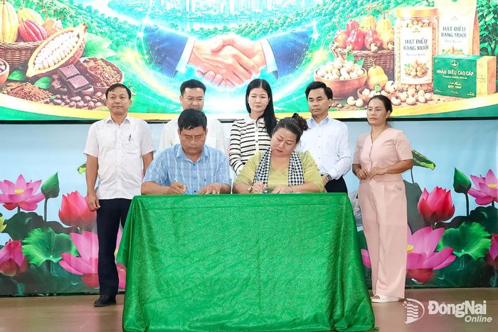Lãnh đạo Chi cục Phát triển nông thôn, Sở Nông nghiệp và Môi trường cùng lãnh đạo các xã chứng kiến Công ty TNHH Xuất nhập khẩu Miền Đông ký kết hợp đồng thu mua nông sản với Hội Nông dân xã Định Quán. Ảnh: Quang Minh