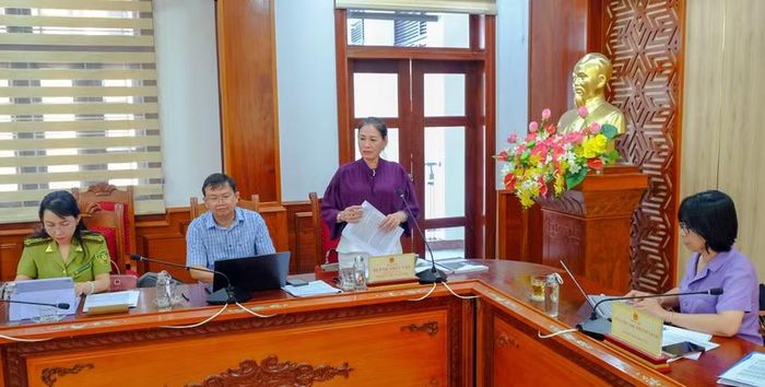  Phó Chủ tịch HĐND tỉnh Huỳnh Thúy Vân (đứng) phát biểu ý kiến. Ảnh: Đoan Ngọc 