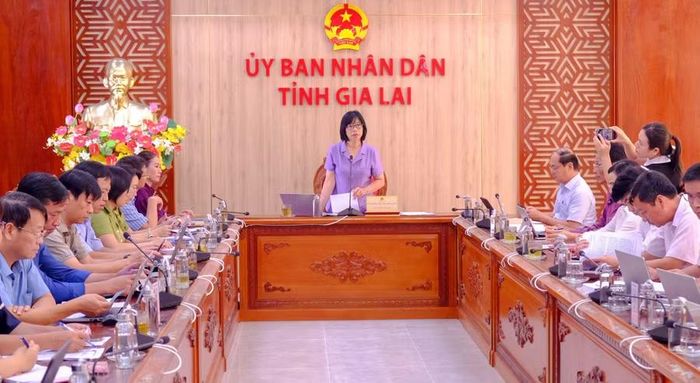 Phó Chủ tịch UBND tỉnh Nguyễn Thị Thanh Lịch (đứng) chủ trì cuộc họp. Ảnh: Đoan Ngọc 