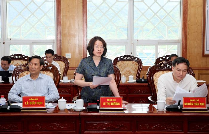 Đồng chí Lê Thị Hường - Ủy viên Ban Thường vụ, Trưởng Ban Tổ chức Tỉnh ủy phát biểu tại buổi làm việc.
