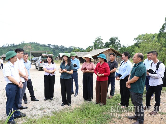 Đồng chí Phó Chủ tịch UBND tỉnh cùng đoàn công tác kiểm tra thực tế khu vực dự kiến xây dựng tái định cư