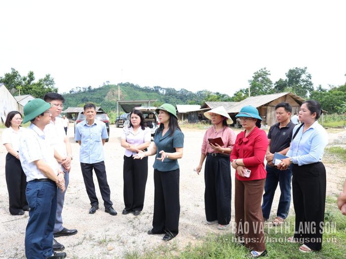 Đồng chí Trần Thanh Nhàn, Phó Chủ tịch UBND tỉnh chỉ đạo các đơn vị liên quan tại hiện trường vị trí dự kiến xây dựng tái định cư tại thôn Khau Luông
