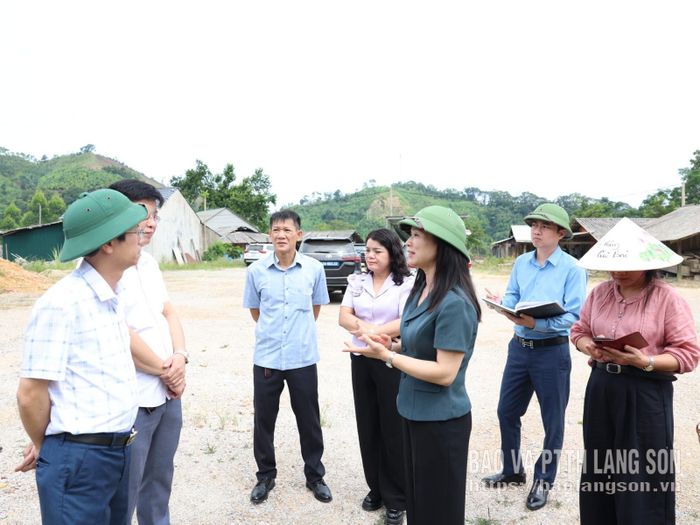 Đồng chí Phó Chủ tịch UBND tỉnh chỉ đạo các đơn vị khẩn trương triển khai các giải pháp để người dân ổn định cuộc sống