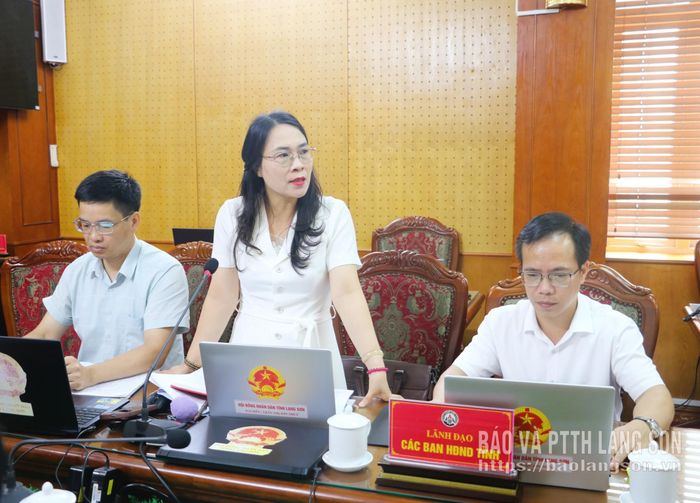 Lãnh đạo Ban Dân tộc HĐND tỉnh phát biểu ý kiến tại cuộc họp