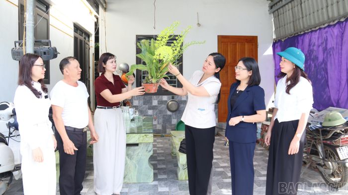 Đoàn giám sát kiểm tra mô hình phát triển kinh tế giỏi tại phường Âu Lâu.