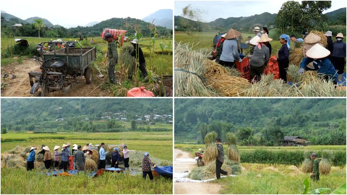 Địa phương xác định việc khôi phục sản xuất phải gắn với chuyển đổi cơ cấu cây trồng phù hợp để nâng cao khả năng thích ứng.