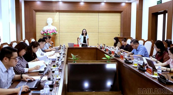 Lãnh đạo Ban Văn hóa - Xã hội, HĐND tỉnh phát biểu kết luận hội nghị.