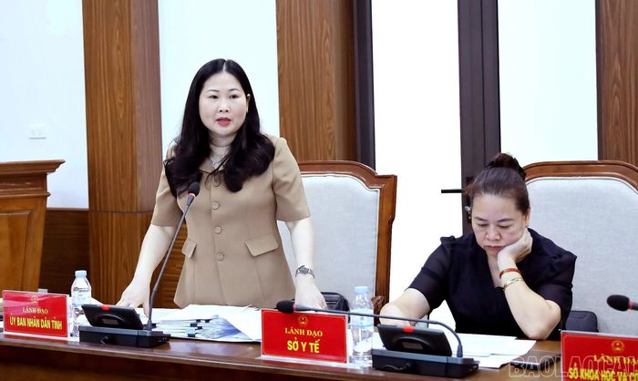 Phó Chủ tịch UBND tỉnh Vũ Thị Hiền Hạnh giải trình, làm rõ thêm một số vấn đề trong các dự thảo nghị quyết trình kỳ họp mà các đại biểu quan tâm.