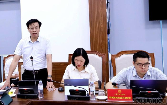 Các thành viên Ban Văn hóa - Xã hội, HĐND tỉnh tham gia ý kiến vào các dự thảo nghị quyết.