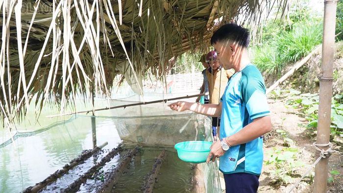 Năm 2026, gia đình anh Hà Đình Luân làm thêm lồng nuôi để mở rộng diện tích nuôi ếch.