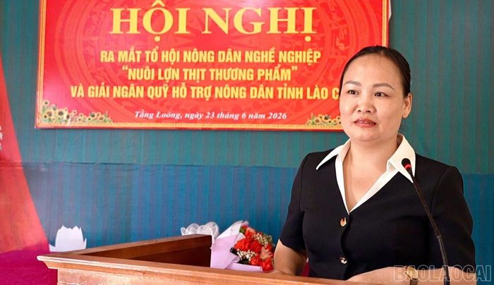 Bà Nguyễn Thi Phương Đông - Phó Chủ tịch Hội Nông dân tỉnh Lào Cai phát biểu tại hội nghị.