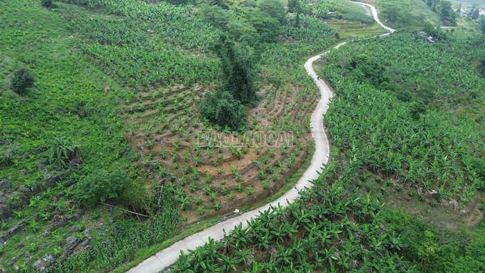 Giao thông nông thôn là động lực phát triển kinh tế cho các địa phương vùng cao.