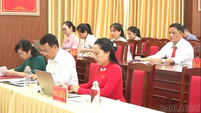 Các đại biểu dự kỳ họp.