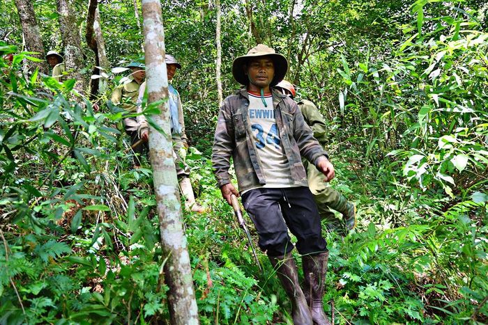 Trách nhiệm bảo vệ rừng được nâng lên thông qua việc gắn quyền lợi kinh tế với nhiệm vụ bảo vệ rừng