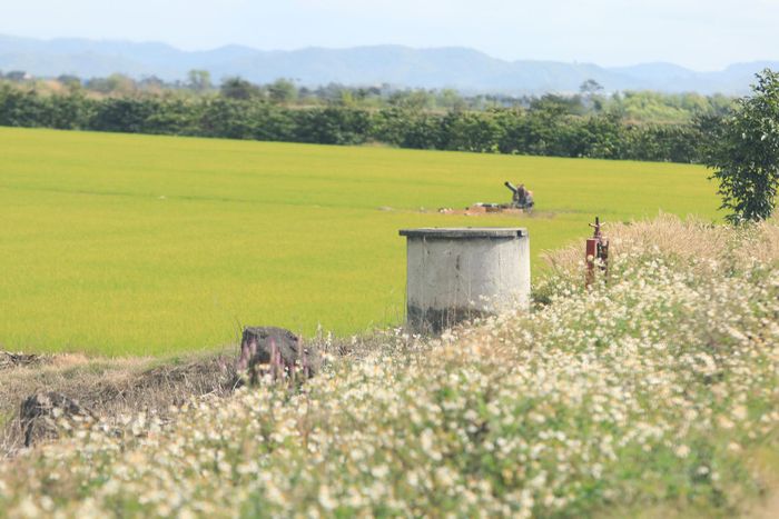Nhiều bể chứa đã được lắp đặt tại các cánh đồng để người dân tập kết vỏ thuốc BVTV sau khi sử dụng