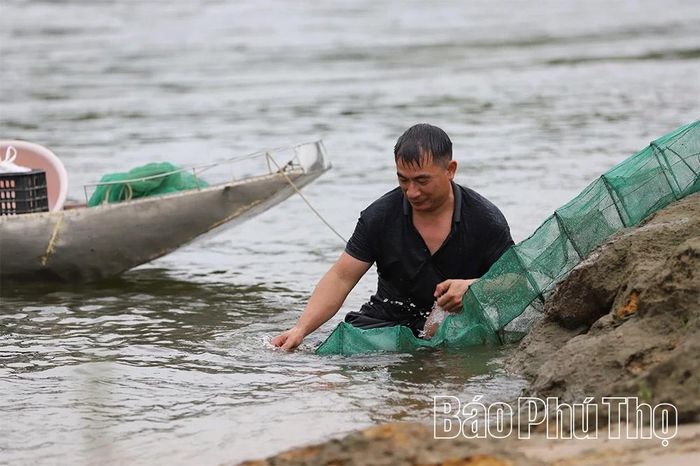 Anh Châm trong một buổi đi kiếm cá trên sông Chảy.