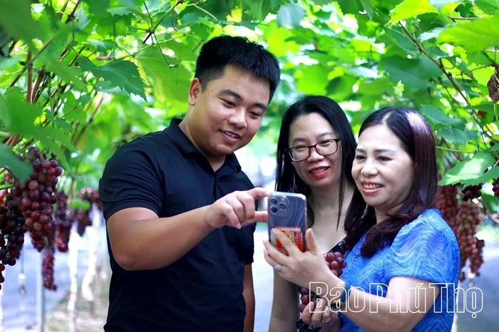 Để nhiều người biết đến nông trại nho sạch, anh Đoan đã quảng bá hình ảnh vườn nho lên các trang mạng xã hội, đăng ký thiết lập định vị tìm kiếm trên Google Map.
