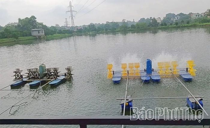Các hộ nuôi thủy sản mạnh dạn áp dụng tiến bộ khoa học kỹ thuật, tập trung đầu tư chuyển sang hình thức nuôi thâm canh và bán thâm canh với nhiều loài cá giống mới, có giá trị kinh tế và cho năng suất cao.