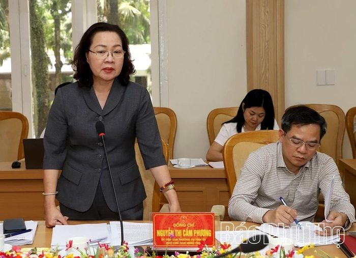Đồng chí Nguyễn Thị Cẩm Phương - Phó Chủ tịch HĐND tỉnh phát biểu chỉ đạo tại cuộc họp.