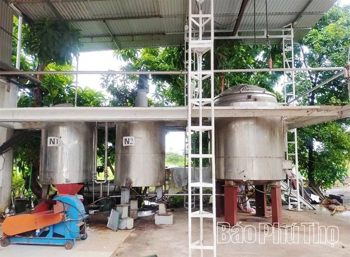 Mạnh dạn đầu tư hệ thống nồi hơi chiết xuất dược liệu hiện đại, HTX Nông nghiệp Yên Trị đã đổi mới quy trình sản xuất theo hướng hiện đại, khép kín và tuần hoàn.