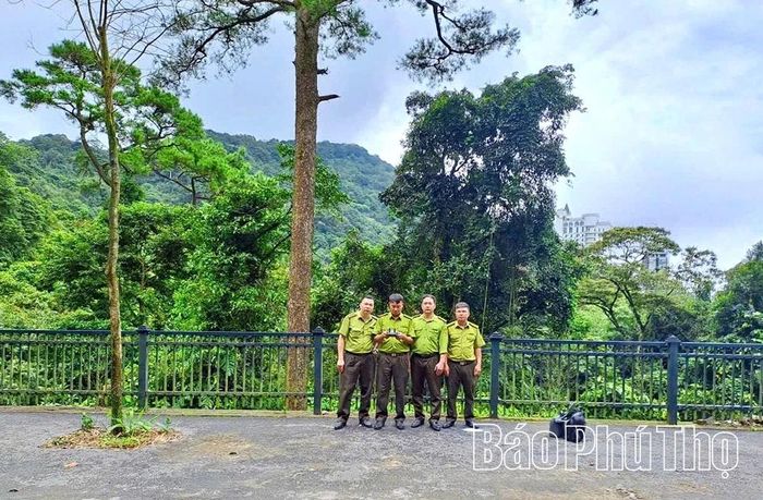 Cán bộ Hạt Kiểm lâm Tam Đảo - Tam Dương sử dụng thiết bị bay không người lái (Drone) để giám sát hiện trạng rừng trên địa bàn.