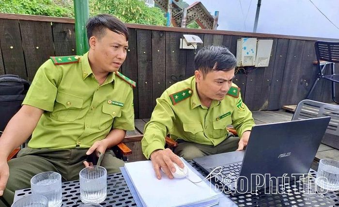Cán bộ kiểm lâm theo dõi diễn biến tài nguyên rừng trên phần mềm quản lý dữ liệu lâm nghiệp.