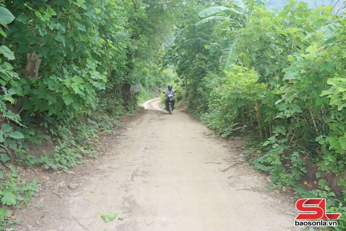 Đường lên khu sản xuất của bản Hợp Phong được đổ bê tông giúp nhân dân đi lại thuận tiện