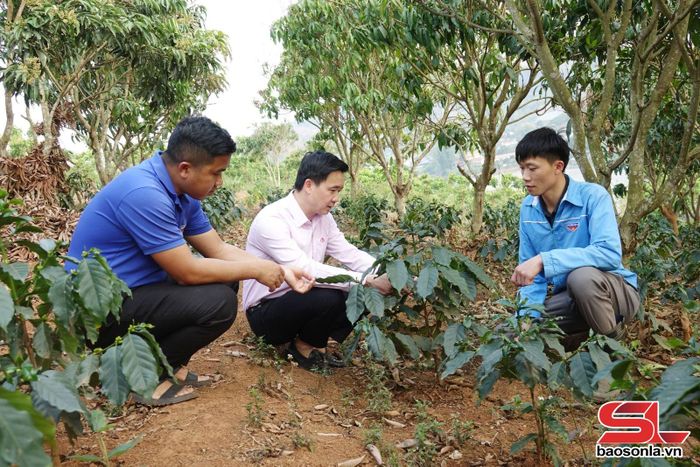Nông dân xã Tà Hộc sử dụng nguồn vốn vay từ Ngân hàng CSXH để trồng cây ăn quả.