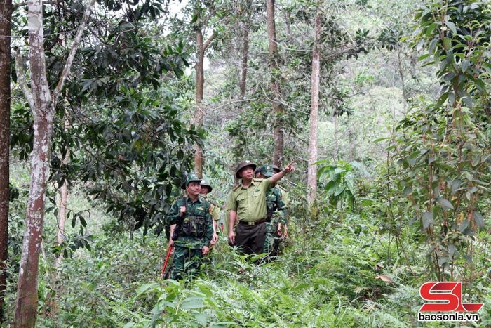 Các lực lượng tham gia tuần tra rừng.