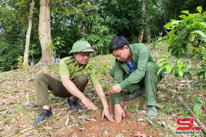 Cán bộ Ban Quản lý Khu rừng đặc dụng Xuân Nha cùng nhân dân trồng rừng.