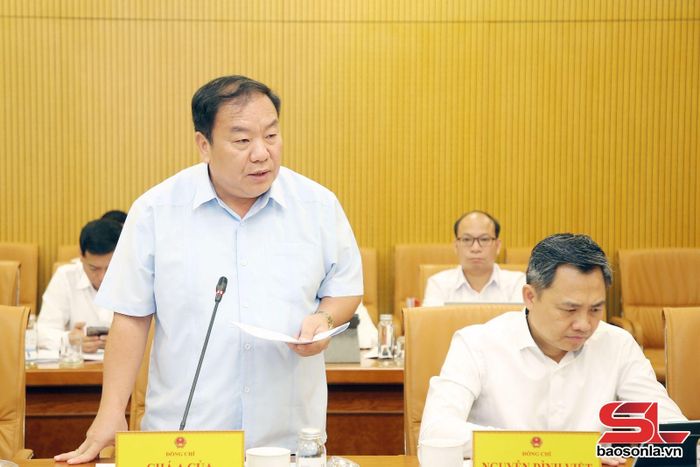 Đồng chí Phó Bí thư Tỉnh ủy phát biểu tại cuộc làm việc.