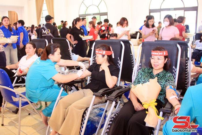 Lãnh đạo Sở Văn hóa, Thể thao và Du lịch và Sở Tài chính tham gia hiến máu.