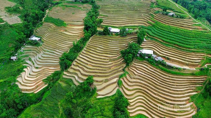 Những thửa ruộng được đắp bờ công phu, thể hiện kinh nghiệm canh tác của đồng bào qua nhiều thế hệ.
