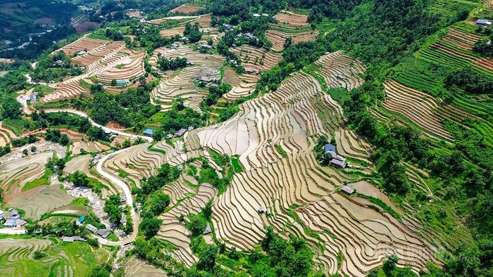 Ruộng bậc thang xen lẫn những mái nhà tạo nên bức tranh sinh động của vùng cao phía Tây.