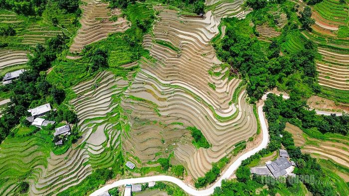 Những đường ruộng uốn lượn tạo nên vẻ đẹp độc đáo của danh thắng quốc gia ruộng bậc thang Hoàng Su Phì.