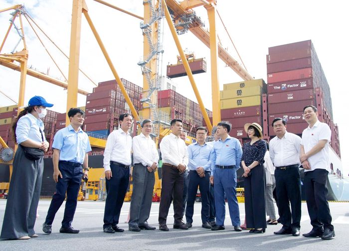 Đoàn công tác khảo sát tại khu vực bến số 3, số 4 Lạch Huyện