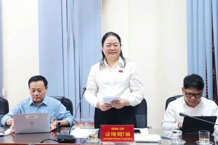 Phó Chủ nhiệm Ủy ban Văn hóa và Xã hội Lò Thị Việt Hà phát biểu tại buổi làm việc