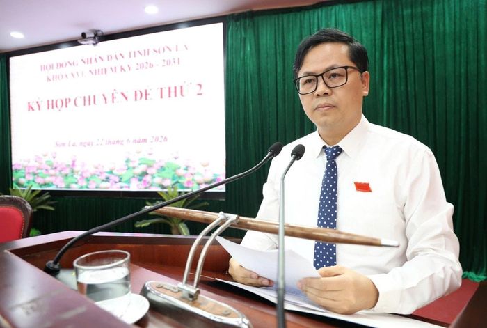 Phó Chủ tịch HĐND tỉnh Nguyễn Việt Cường trình bày dự thảo nghị quyết tại kỳ họp