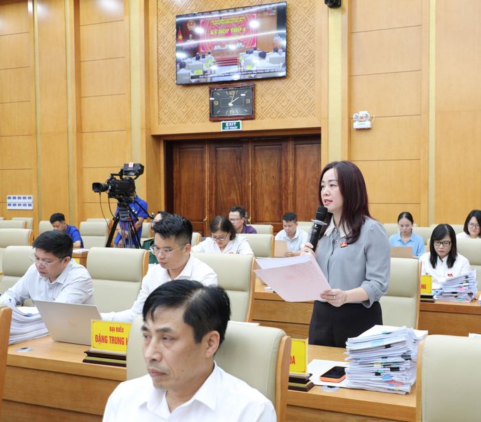 Đại biểu Hoàng Diệu Hòa đặt câu hỏi chất vấn tại kỳ họp