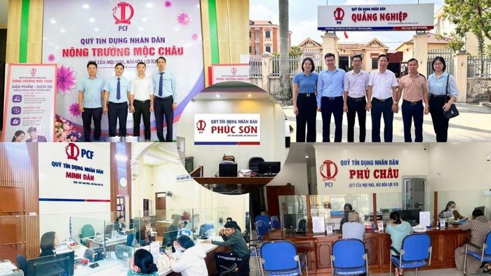 Bộ nhận diện thương hiệu thống nhất góp phần nâng cao uy tín, củng cố niềm tin và khẳng định vị thế của hệ thống QTDND Việt Nam trong giai đoạn phát triển mới