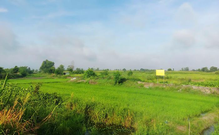 Quy hoạch trên đất nông nghiệp cần được công khai cho người dân để tránh tiêu cực phát sinh.