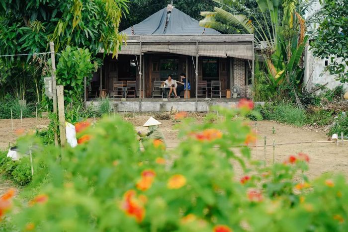 Làng rau Trà Quế, gần Hội An, Việt Nam. James Pham/Lonely Planet