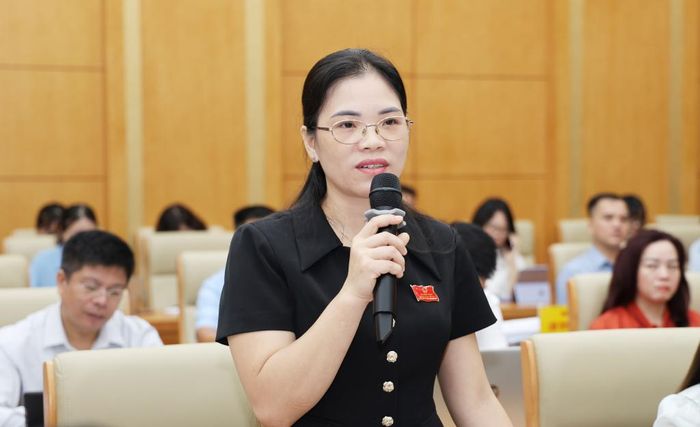 Đại biểu HĐND tỉnh Triệu Thị Hoa phát biểu thảo luận về vấn đề công tác lập quy hoạch cấp xã.