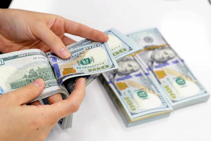 Diễn biến tỷ giá ngày 23/6 cho thấy mặt bằng giá của nhiều ngoại tệ chủ chốt không có biến động lớn. Ảnh minh họa