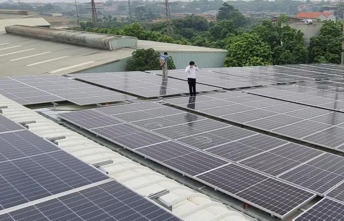 Tính đến ngày 31/5/2026, toàn tỉnh đã có 1.586 khách hàng lắp đặt hệ thống điện mặt trời mái nhà với tổng công suất đạt 155,1 MW.
