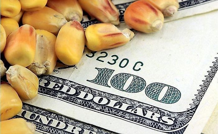 Người sản xuất nông nghiệp tại Iowa đang đối mặt với chi phí đầu vào cao, biến động thương mại quốc tế, thời tiết cực đoan và áp lực lợi nhuận giảm sút