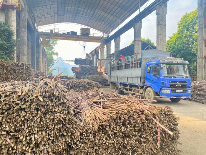 Nhà máy Đường Phục Hòa, Công ty cổ phần Mía đường Cao Bằng giữ vai trò quan trọng trong phát triển vùng nguyên liệu mía của tỉnh. Ảnh: Quốc Sơn